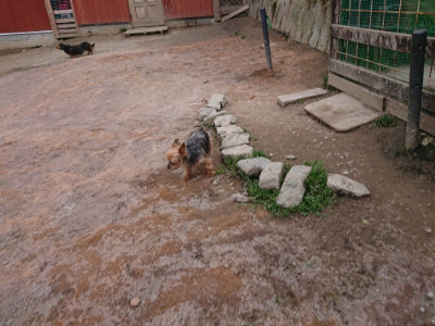 f:id:roukenhome-ann:20190227193455j:plain f:id:roukenhome-ann:20190227193455j:plain