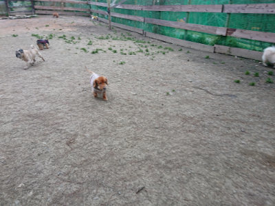 f:id:roukenhome-ann:20190227193507j:plain f:id:roukenhome-ann:20190227193507j:plain