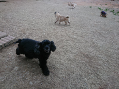 f:id:roukenhome-ann:20190227193515j:plain f:id:roukenhome-ann:20190227193515j:plain