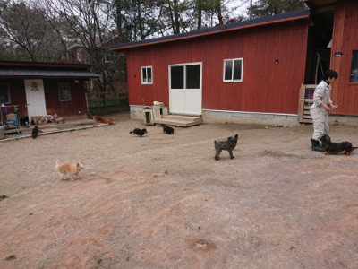 f:id:roukenhome-ann:20190227193520j:plain f:id:roukenhome-ann:20190227193520j:plain
