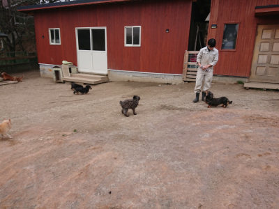 f:id:roukenhome-ann:20190227193528j:plain f:id:roukenhome-ann:20190227193528j:plain