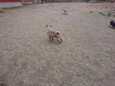 f:id:roukenhome-ann:20190227193534j:plain f:id:roukenhome-ann:20190227193534j:plain