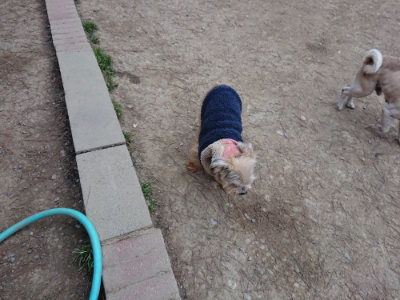 f:id:roukenhome-ann:20190227193539j:plain f:id:roukenhome-ann:20190227193539j:plain