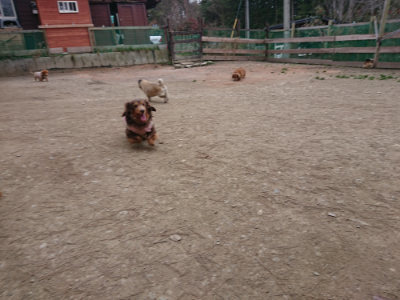 f:id:roukenhome-ann:20190227193633j:plain f:id:roukenhome-ann:20190227193633j:plain