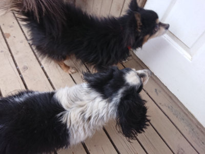 f:id:roukenhome-ann:20190227193638j:plain f:id:roukenhome-ann:20190227193638j:plain
