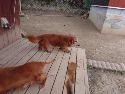f:id:roukenhome-ann:20190227193650j:plain f:id:roukenhome-ann:20190227193650j:plain