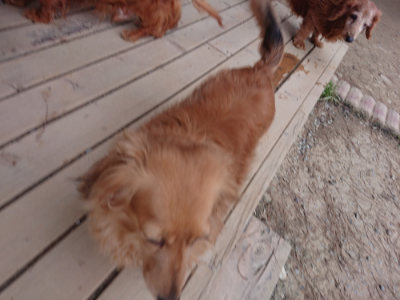 f:id:roukenhome-ann:20190227193716j:plain f:id:roukenhome-ann:20190227193716j:plain