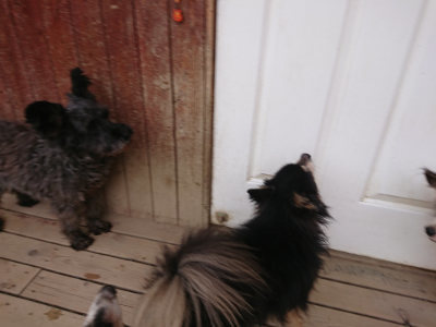 f:id:roukenhome-ann:20190227193808j:plain f:id:roukenhome-ann:20190227193808j:plain