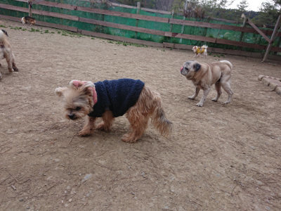 f:id:roukenhome-ann:20190227193831j:plain f:id:roukenhome-ann:20190227193831j:plain