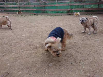 f:id:roukenhome-ann:20190227193855j:plain f:id:roukenhome-ann:20190227193855j:plain