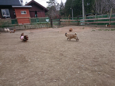f:id:roukenhome-ann:20190227193901j:plain f:id:roukenhome-ann:20190227193901j:plain