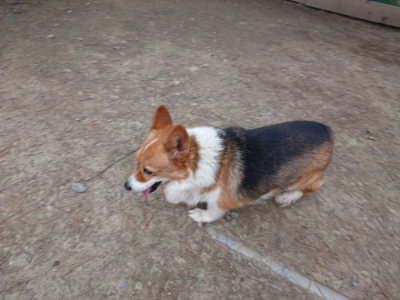 f:id:roukenhome-ann:20190227194812j:plain f:id:roukenhome-ann:20190227194812j:plain