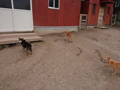f:id:roukenhome-ann:20190227194818j:plain f:id:roukenhome-ann:20190227194818j:plain