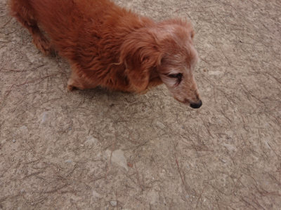 f:id:roukenhome-ann:20190227194854j:plain f:id:roukenhome-ann:20190227194854j:plain