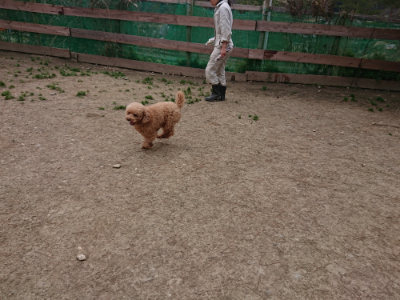 f:id:roukenhome-ann:20190227194921j:plain f:id:roukenhome-ann:20190227194921j:plain