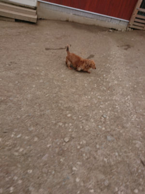 f:id:roukenhome-ann:20190227194953j:plain f:id:roukenhome-ann:20190227194953j:plain