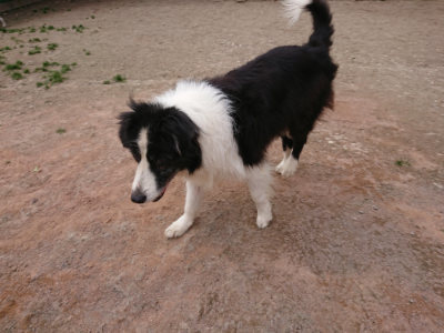 f:id:roukenhome-ann:20190227195000j:plain f:id:roukenhome-ann:20190227195000j:plain