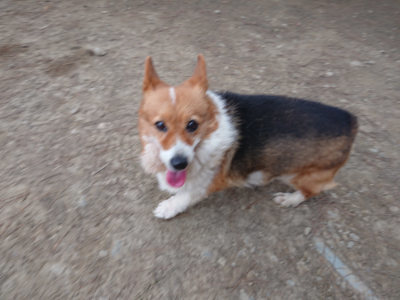 f:id:roukenhome-ann:20190227195052j:plain f:id:roukenhome-ann:20190227195052j:plain