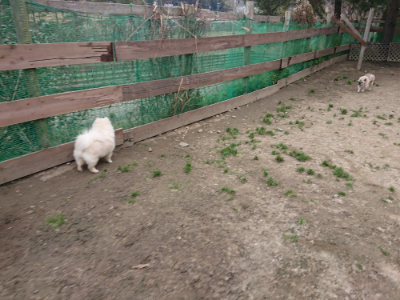 f:id:roukenhome-ann:20190227195128j:plain f:id:roukenhome-ann:20190227195128j:plain