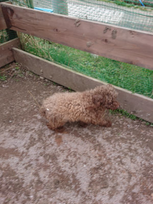 f:id:roukenhome-ann:20190227195136j:plain f:id:roukenhome-ann:20190227195136j:plain