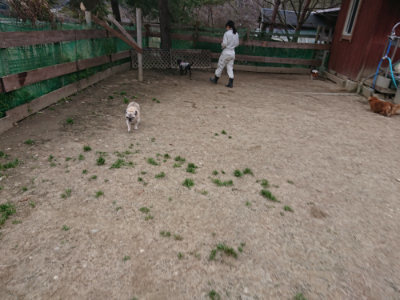 f:id:roukenhome-ann:20190227195147j:plain f:id:roukenhome-ann:20190227195147j:plain
