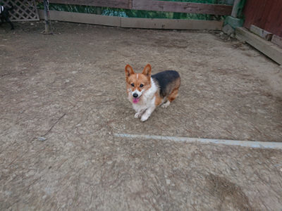f:id:roukenhome-ann:20190227195218j:plain f:id:roukenhome-ann:20190227195218j:plain