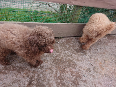 f:id:roukenhome-ann:20190227195236j:plain f:id:roukenhome-ann:20190227195236j:plain