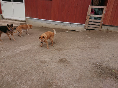 f:id:roukenhome-ann:20190227195524j:plain f:id:roukenhome-ann:20190227195524j:plain