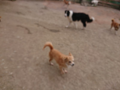 f:id:roukenhome-ann:20190227195538j:plain f:id:roukenhome-ann:20190227195538j:plain