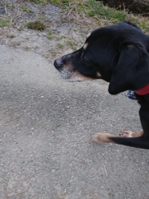 f:id:roukenhome-ann:20190227195605j:plain f:id:roukenhome-ann:20190227195605j:plain