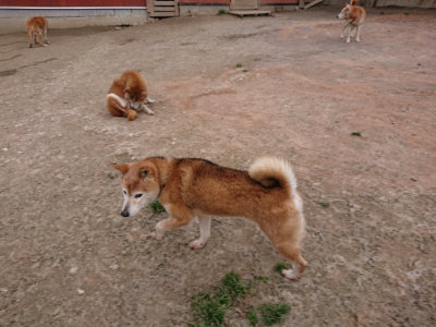 f:id:roukenhome-ann:20190227195620j:plain f:id:roukenhome-ann:20190227195620j:plain