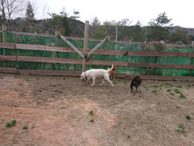 f:id:roukenhome-ann:20190227201627j:plain f:id:roukenhome-ann:20190227201627j:plain