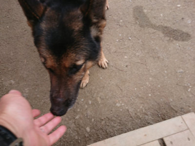 f:id:roukenhome-ann:20190227201638j:plain f:id:roukenhome-ann:20190227201638j:plain