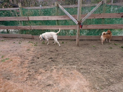 f:id:roukenhome-ann:20190227201644j:plain f:id:roukenhome-ann:20190227201644j:plain