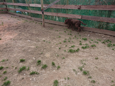 f:id:roukenhome-ann:20190227201728j:plain f:id:roukenhome-ann:20190227201728j:plain