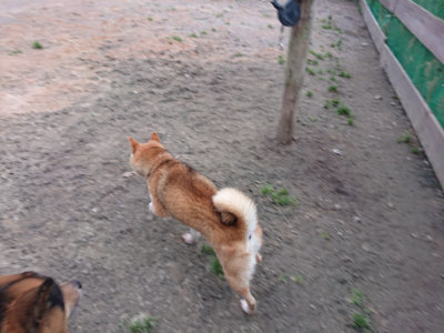 f:id:roukenhome-ann:20190227201809j:plain f:id:roukenhome-ann:20190227201809j:plain