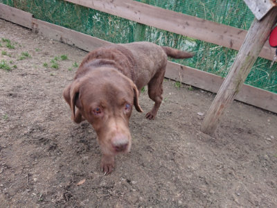 f:id:roukenhome-ann:20190227201828j:plain f:id:roukenhome-ann:20190227201828j:plain