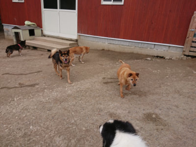 f:id:roukenhome-ann:20190227201835j:plain f:id:roukenhome-ann:20190227201835j:plain