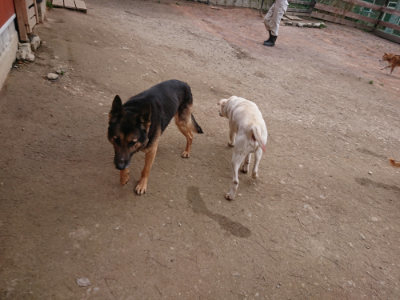 f:id:roukenhome-ann:20190227201849j:plain f:id:roukenhome-ann:20190227201849j:plain