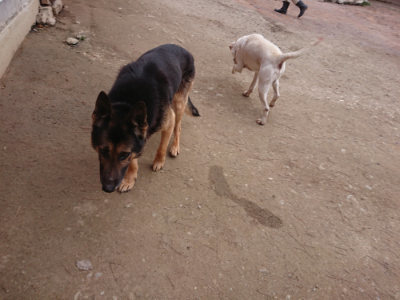 f:id:roukenhome-ann:20190227201855j:plain f:id:roukenhome-ann:20190227201855j:plain