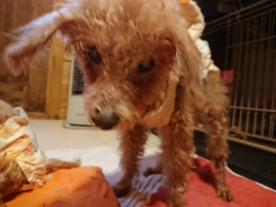 f:id:roukenhome-ann:20190228133942j:plain f:id:roukenhome-ann:20190228133942j:plain