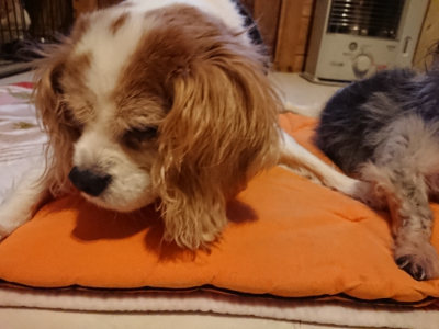 f:id:roukenhome-ann:20190228133959j:plain f:id:roukenhome-ann:20190228133959j:plain
