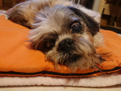 f:id:roukenhome-ann:20190228134016j:plain f:id:roukenhome-ann:20190228134016j:plain