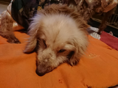 f:id:roukenhome-ann:20190228134027j:plain f:id:roukenhome-ann:20190228134027j:plain