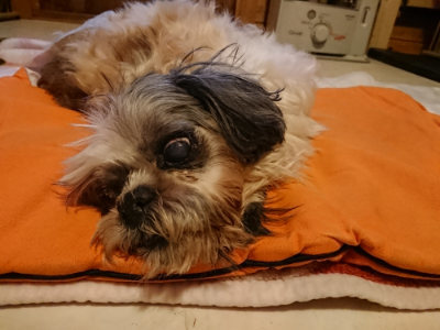 f:id:roukenhome-ann:20190228134032j:plain f:id:roukenhome-ann:20190228134032j:plain