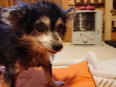f:id:roukenhome-ann:20190228134345j:plain f:id:roukenhome-ann:20190228134345j:plain