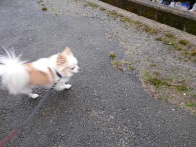 f:id:roukenhome-ann:20190228134356j:plain f:id:roukenhome-ann:20190228134356j:plain