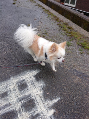 f:id:roukenhome-ann:20190228134401j:plain f:id:roukenhome-ann:20190228134401j:plain