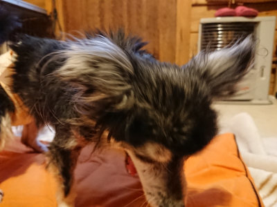 f:id:roukenhome-ann:20190228134425j:plain f:id:roukenhome-ann:20190228134425j:plain