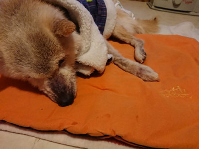 f:id:roukenhome-ann:20190228134432j:plain f:id:roukenhome-ann:20190228134432j:plain